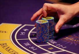 bet7 com